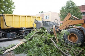 Tree Removal Appointment Booking Software