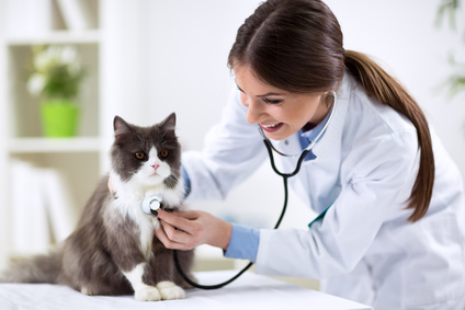 Veterinarian Appointment Booking Software