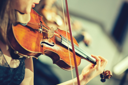 Violinist Appointment Booking Software