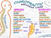 Chiropractic Wellness Center Appointment Software