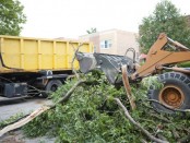 Tree Removal Appointment Booking Software