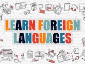 Foreign Language Appointment Software