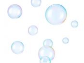 Bubble Machine Rental Appointment Software