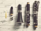Clarinet Instructor Lesson Scheduling Software