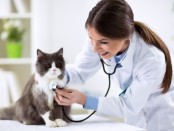 Veterinarian Appointment Booking Software