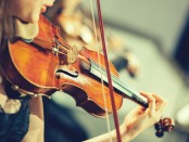 Violinist Appointment Booking Software