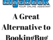 Alternative to BookingBug