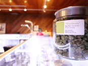 Appointment Apps For Marijuana Dispensaries