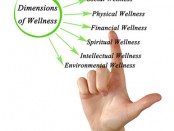 Online Scheduling Software for Wellness Consulting